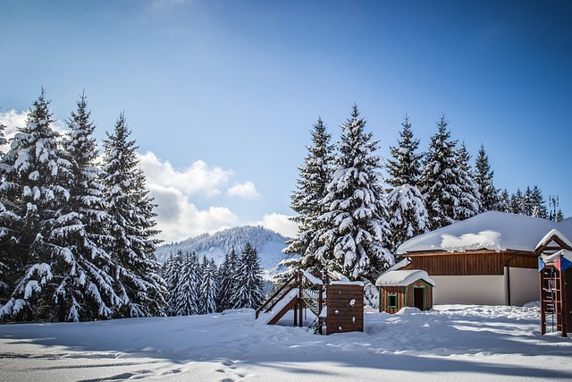 zasněžená Šumava